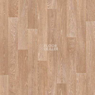 Линолеум Juteks Trend SHERWOOD 3 фото 1 | FLOORDEALER
